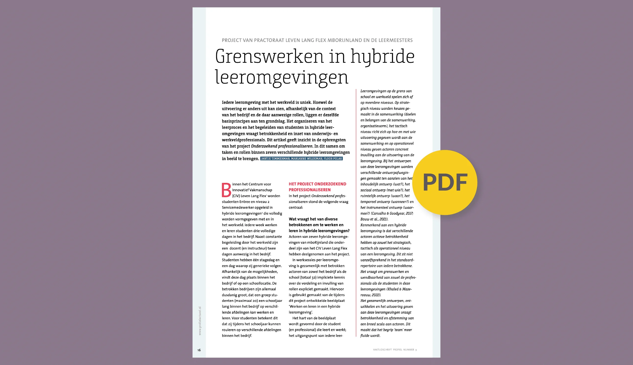 Onderzoekend professionaliseren